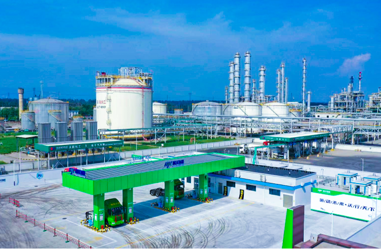 3118�ƶ�����